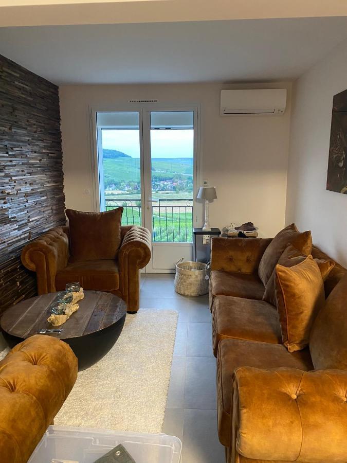 Villa Au Coeur Du Terroir Champenois Chavot-Courcourt Esterno foto