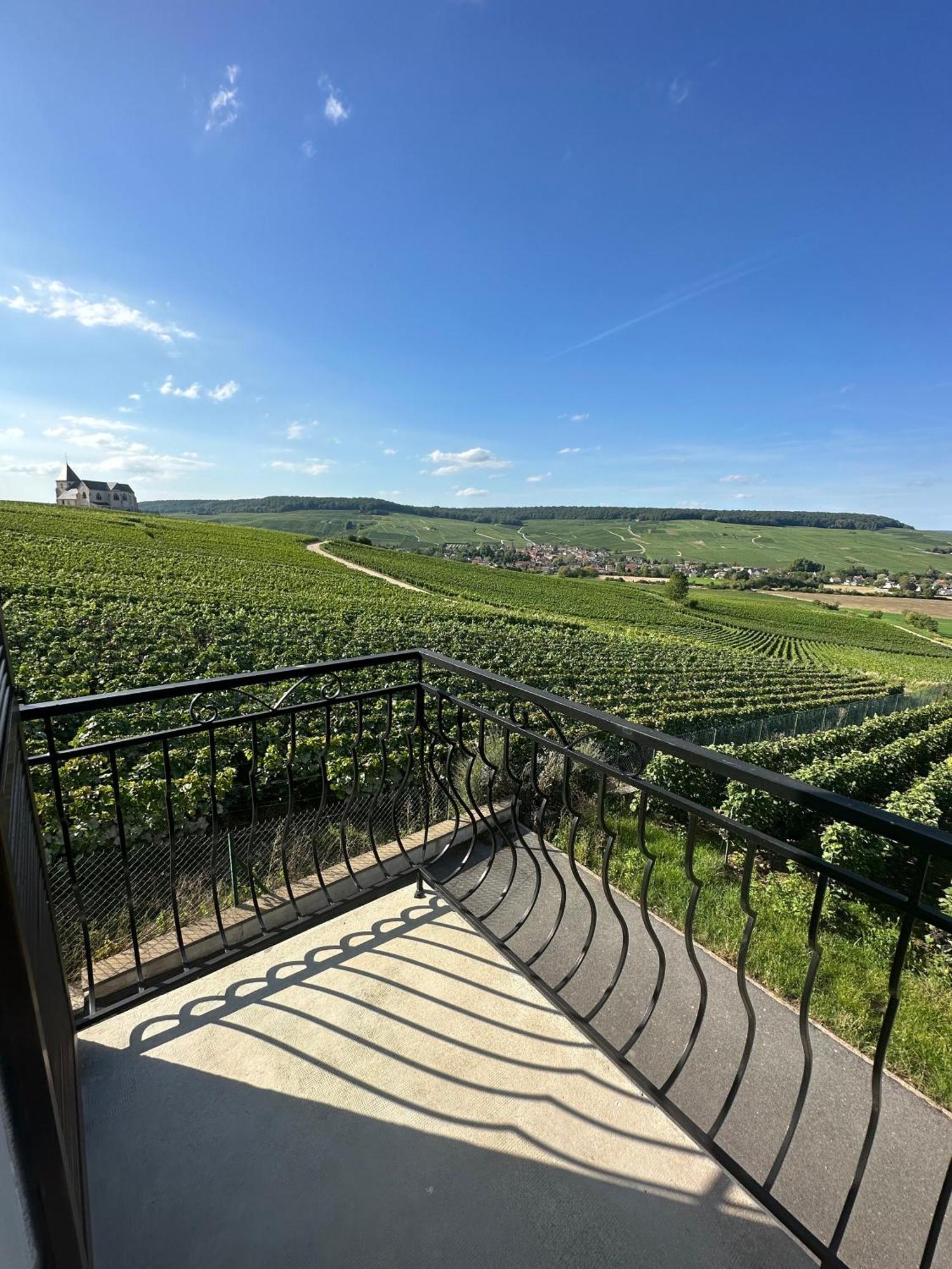 Villa Au Coeur Du Terroir Champenois Chavot-Courcourt Esterno foto