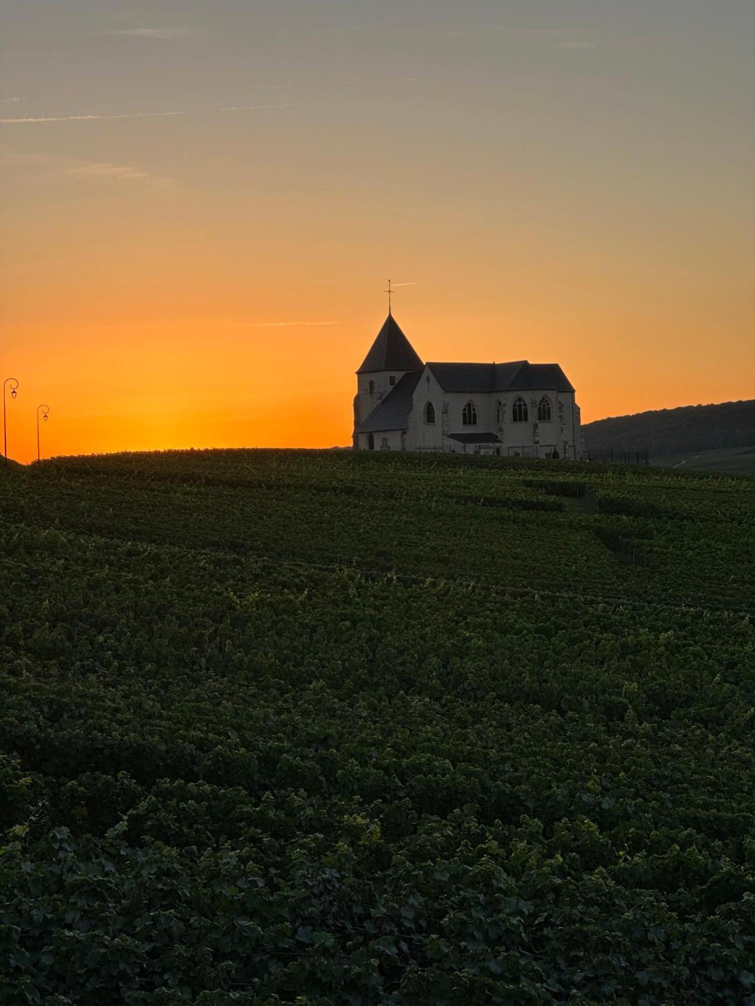 Villa Au Coeur Du Terroir Champenois Chavot-Courcourt Esterno foto